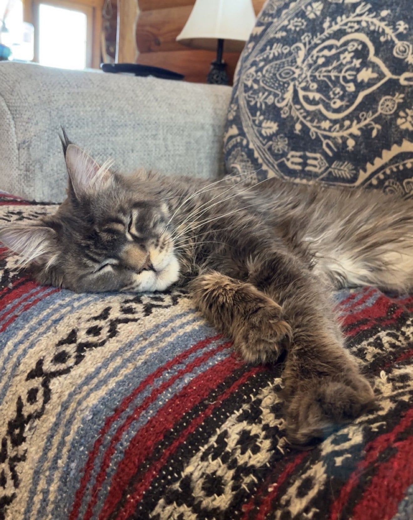 blanket kitty
